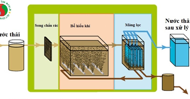 CÔNG TY TNHH CÔNG NGHỆ MÔI TRƯỜNG NHIỆT ĐỚI Nuôi cấy vi sinh  Xử lý nước  thải