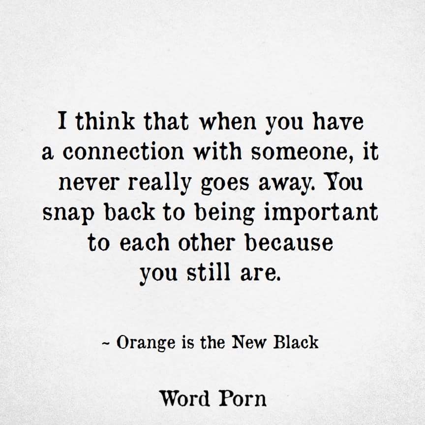 Down The Rabbit Hole