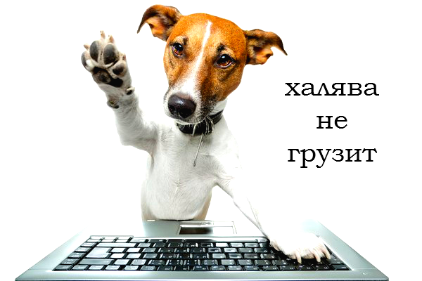 Заработок на расширениях для браузера Заработок на расширениях для браузера