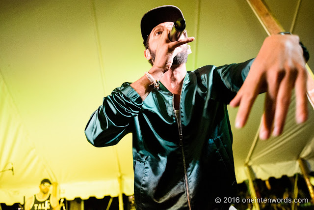 Radio Radio at Riverfest Elora Bissell Park on August 20, 2016 Photo by John at One In Ten Words oneintenwords.com toronto indie alternative live music blog concert photography pictures