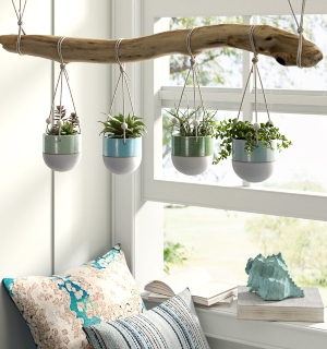 Hanging Planters on Driftwood Branch Log
