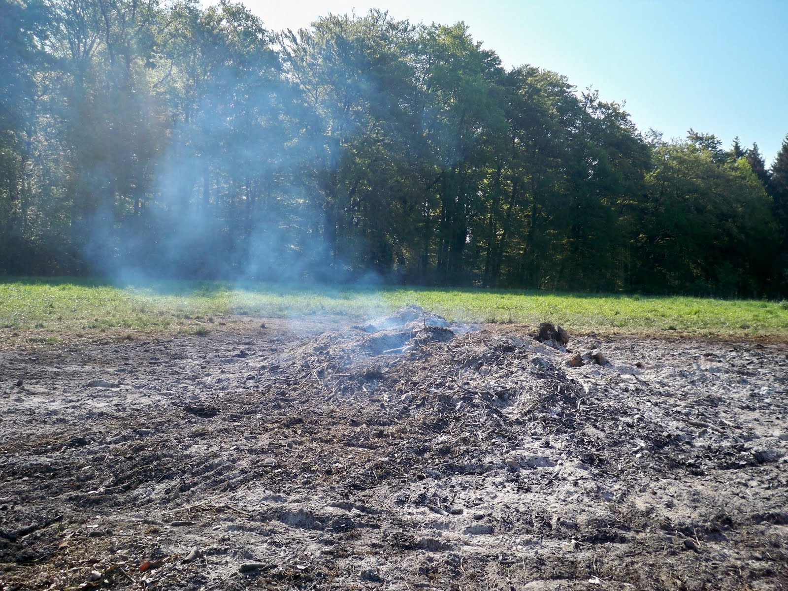 Wesfood Mister D S In Herford