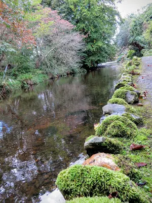 River running through Mount Usher Gardens in County Wicklow