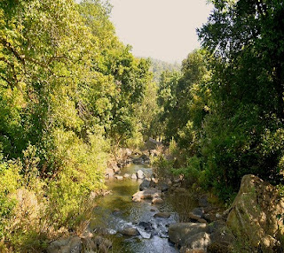 Devkund Waterfall: Unexplored & Trek Route