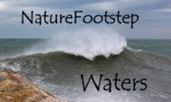 NatureFootstep Waters