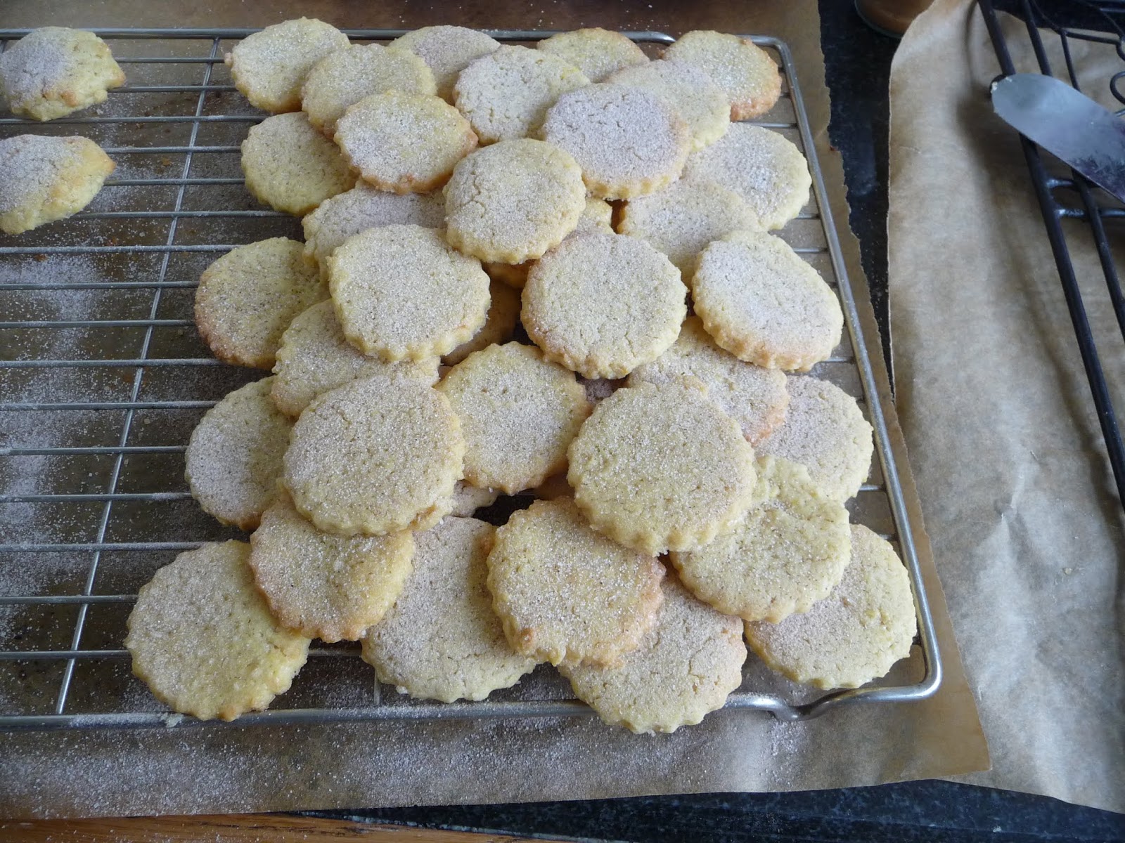 Of Sowing and Growing Quick and Easy Vanilla Biscuits