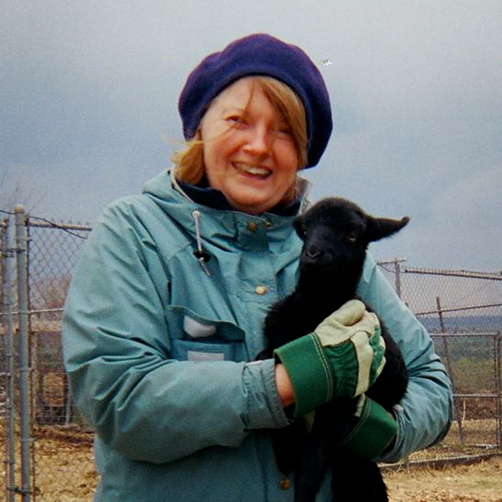 SPOTLIGHT AND GIVEAWAY JANE ASHFORD, AUTHOR OF THE BARGAIN COLLETTE