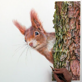 04-Red-Squirrel-Angie-A-Pet-and-Wildlife-Pencil-Drawing-Artist-www-designstack-co