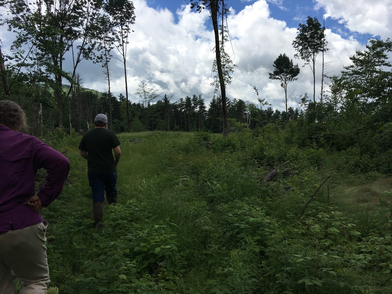 NRCS wildlife friendlyhabitat management