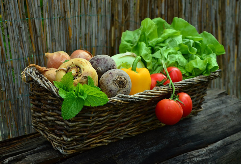 Organic Garden: A Small Step to Bigger Eco-Friendly Goals Organic Garden: A Small Step to Bigger Eco-Friendly Goals
