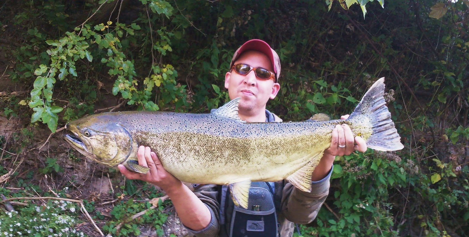Illinois Wisconsin Fishing milwaukee river king salmon fishing