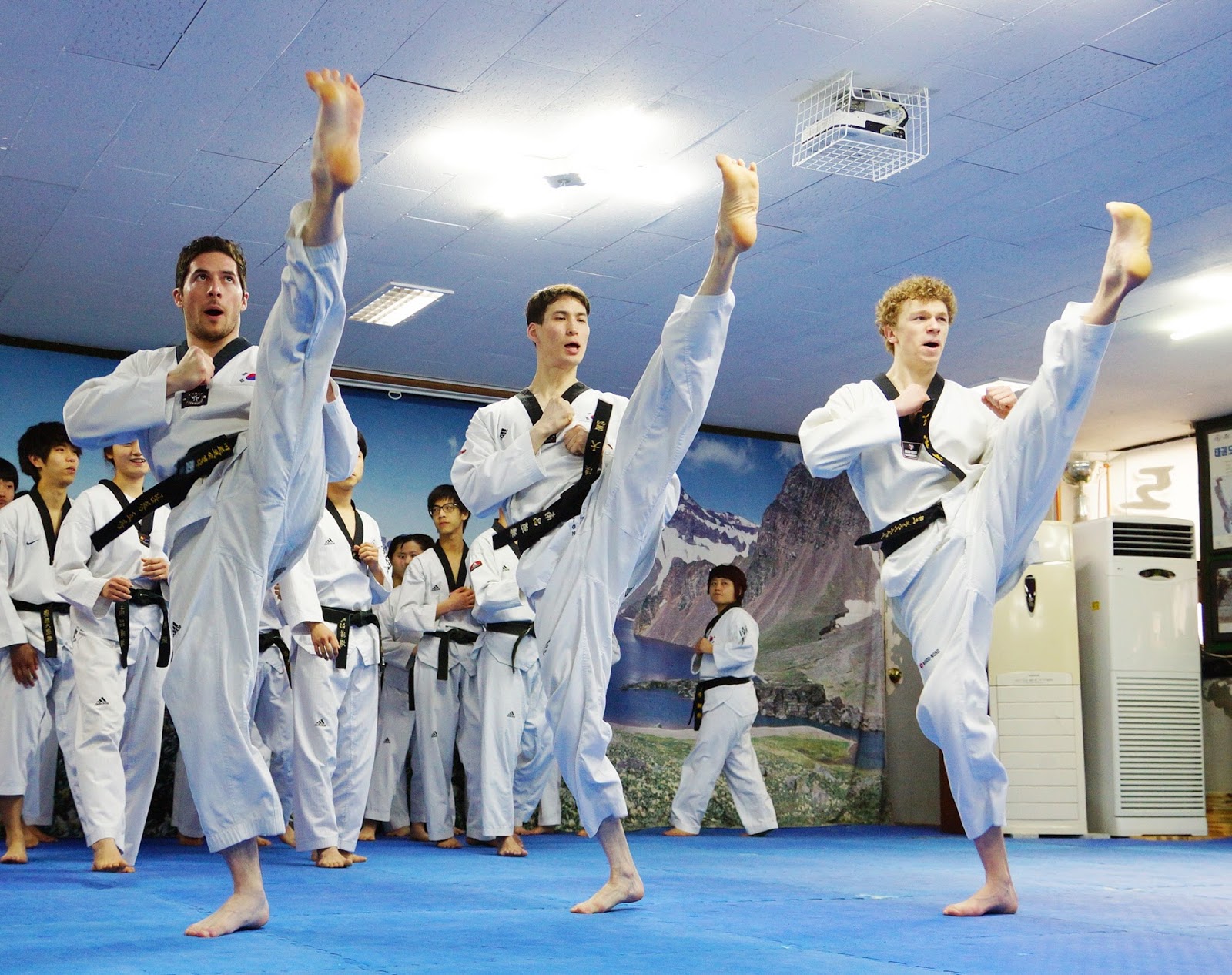 Taekwondo Biały Pas Z żółtą Belką Tham khảo – Bài khởi động tiêu chuẩn cho Taekwondo ~ Rèn luyện sức khỏe
