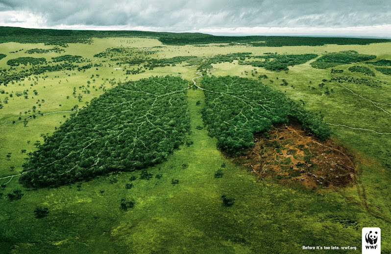 WWF Message (Before It's Too Late)