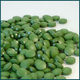Alga chlorella Alga chlorella