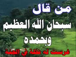 من قال سبحان الله العظيم وبحمده فهل تغرس له نخلة في الجنة الطريق إلى الله