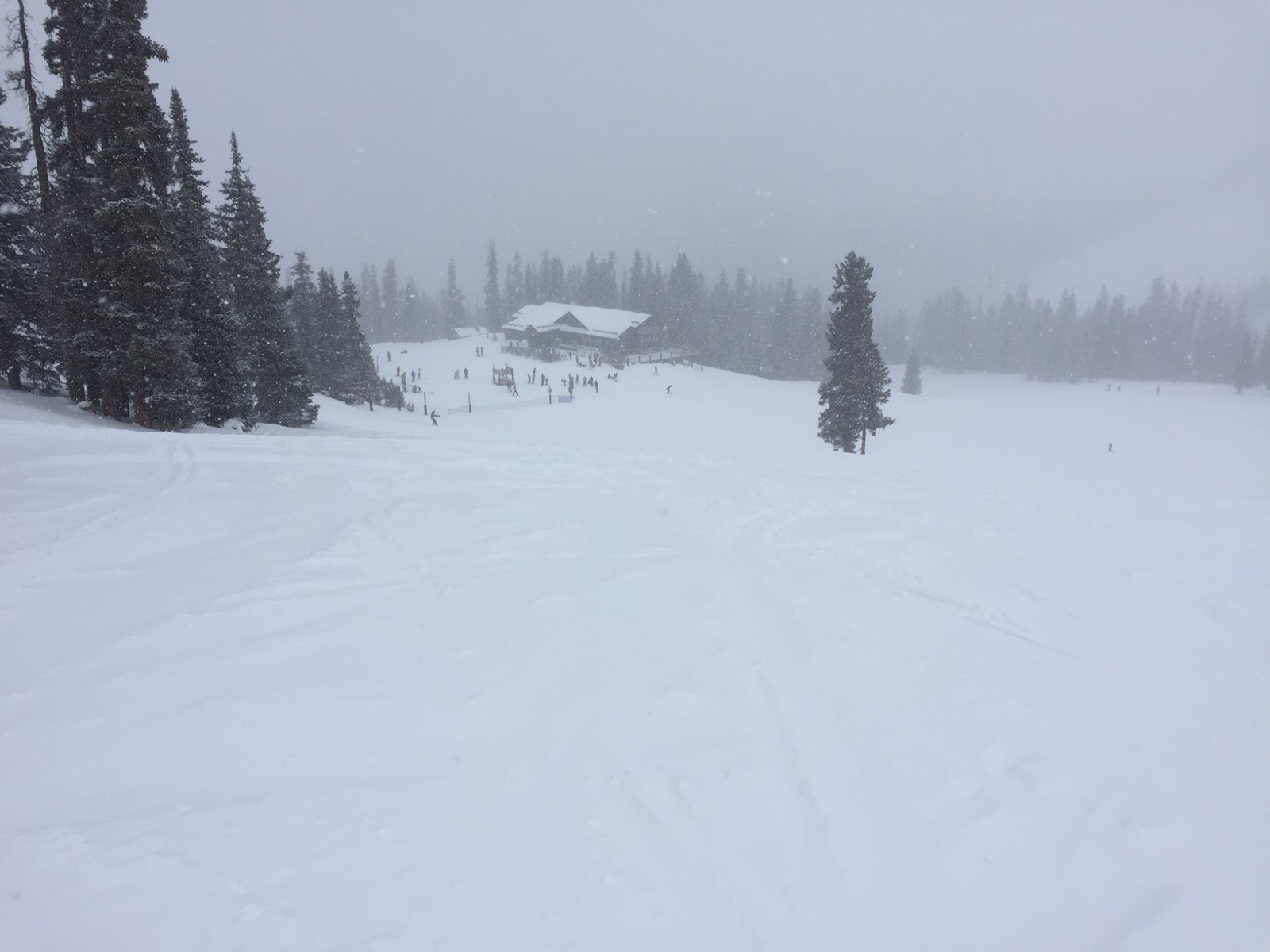 Al's Blog The Snow Has Started To Fall