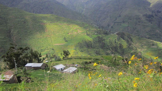 Yargahuasi
