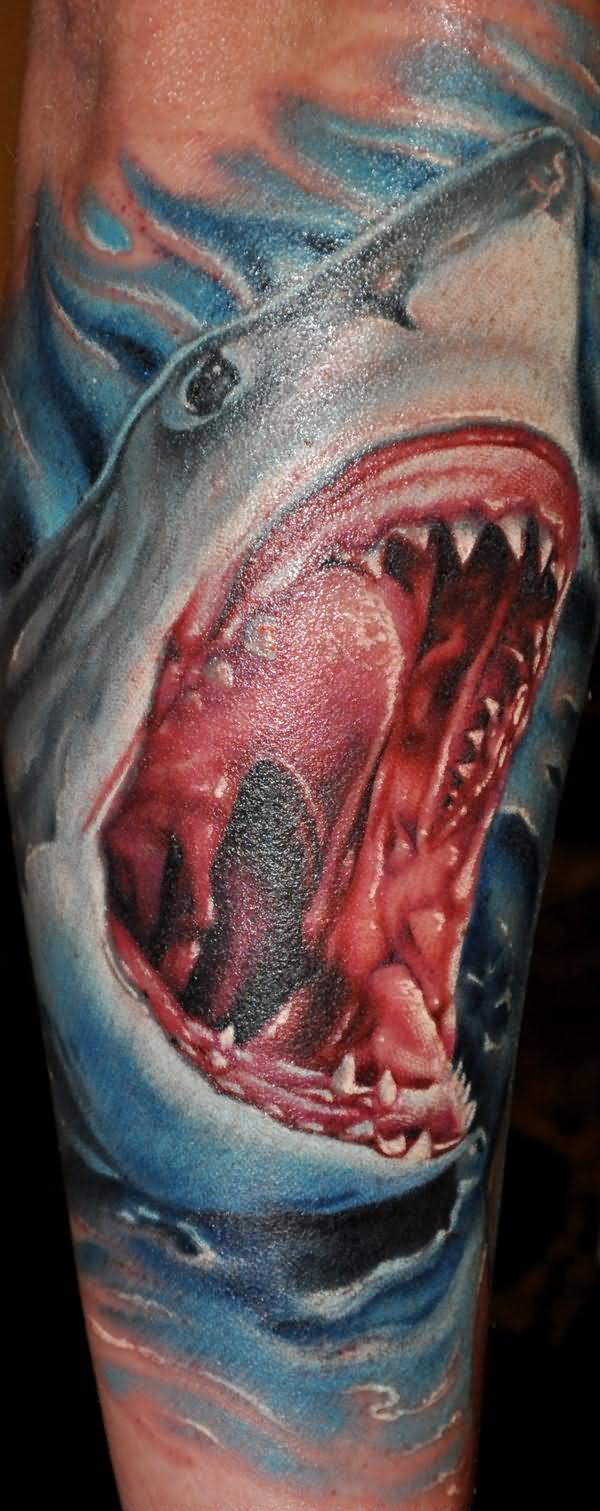 Shark Tattoo Pictures 95