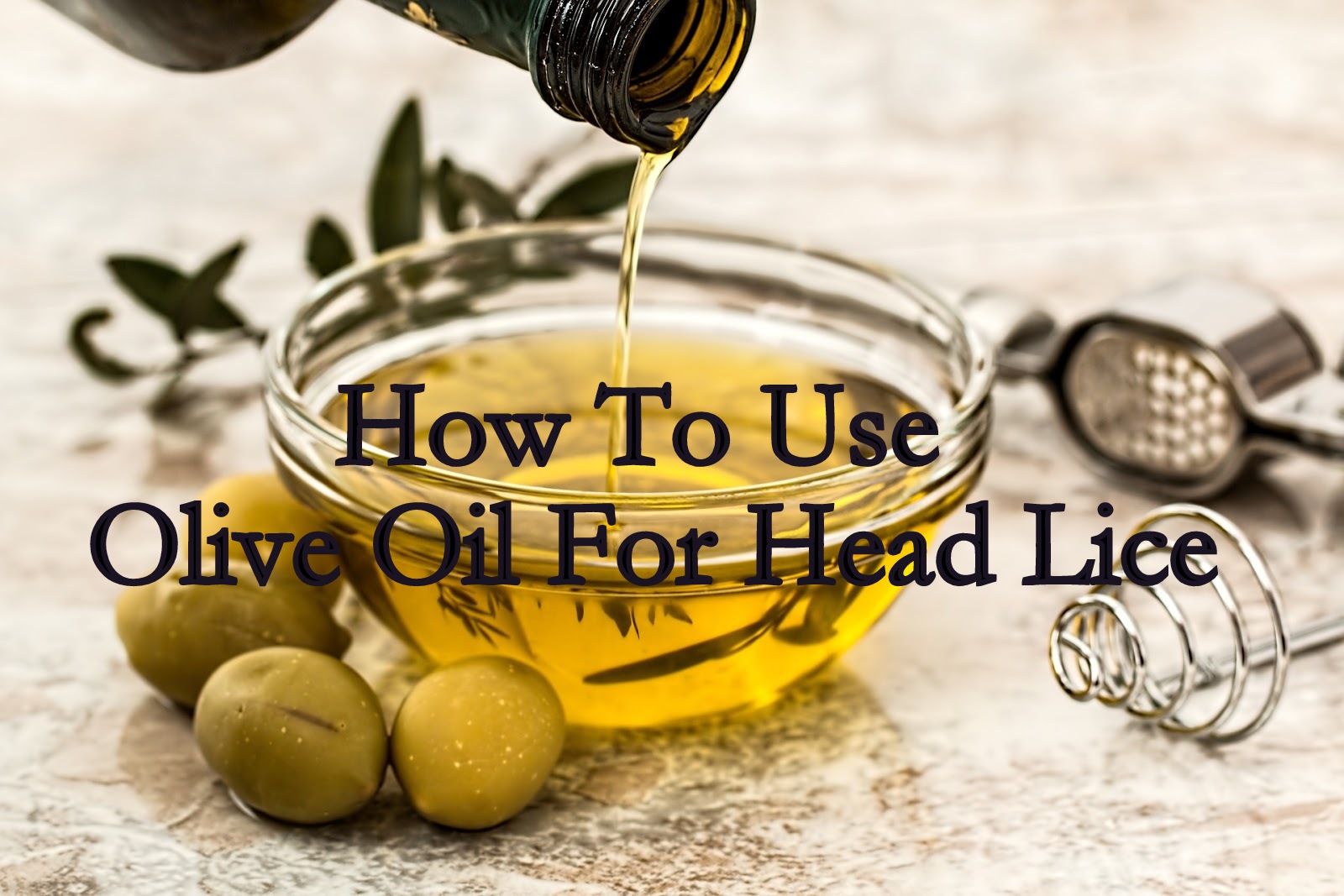 how to use olive oil for head lice olive oil for head lice