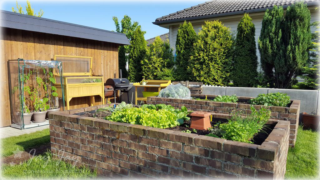 Sternensinn Garten Und Mehr Das Grosse Beet Ist Startklar