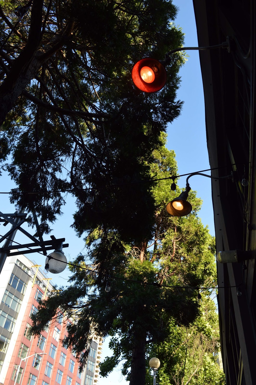 Happy Hour at Tavolata in Belltown