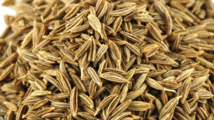 Cumin Seeds / Jeera for Metabolism Cumin Seeds / Jeera for Metabolism