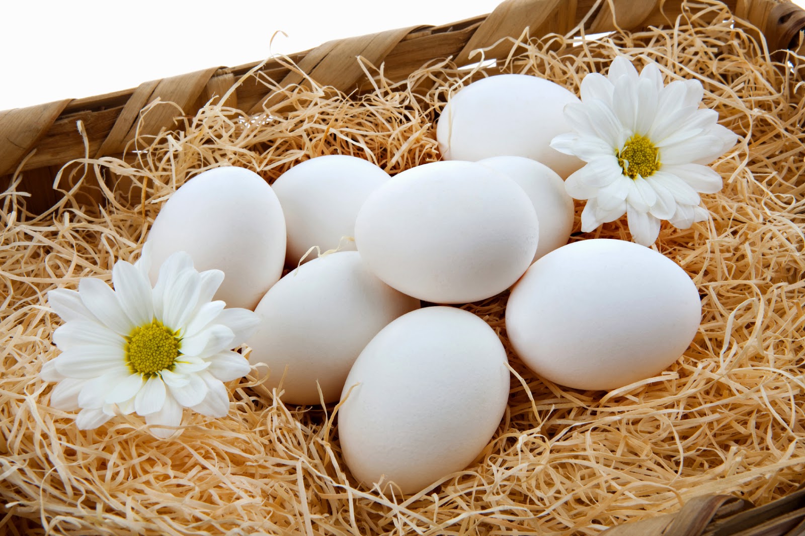 Фотки яичек. Яйцо. Яйцо куриное. Яйцо куриное белое. Красивые куриные яйца.