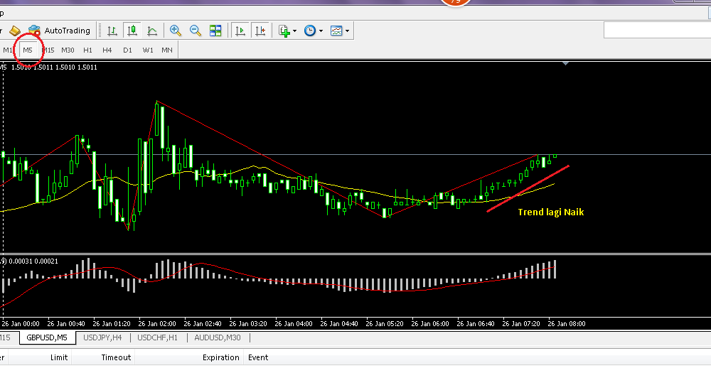 Trik forex 100 profit