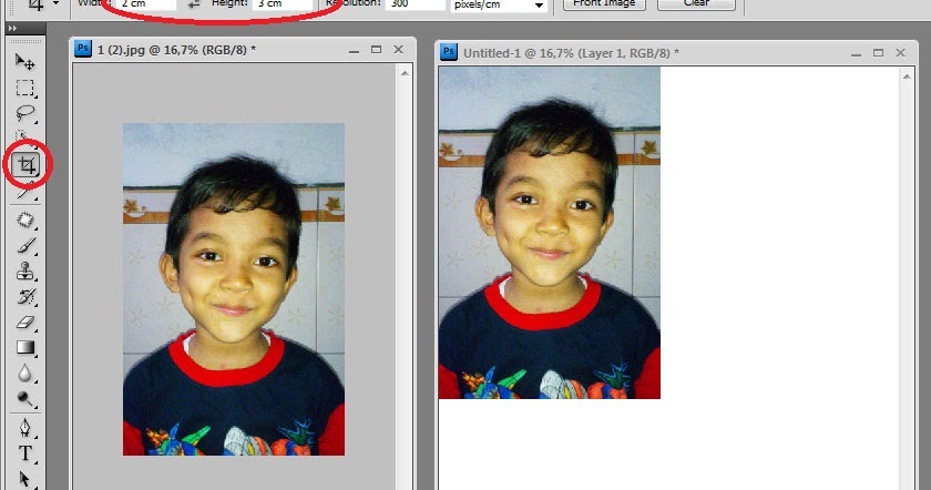 Cara Cetak Foto Ukuran 2x3 Di Word 2010 Soalan bx