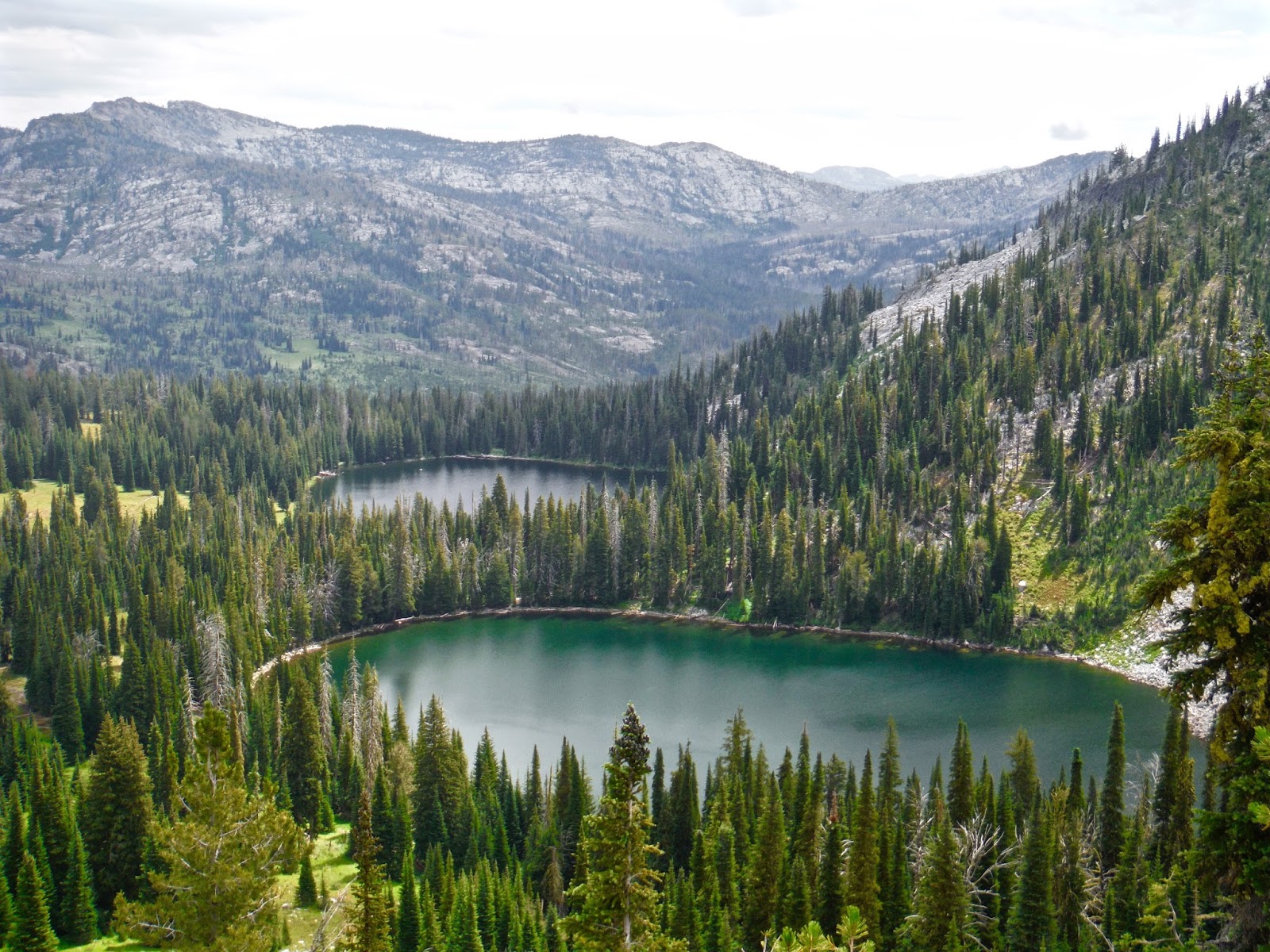 Erik’s Fly Fishing Blog Coffee Cup Lake