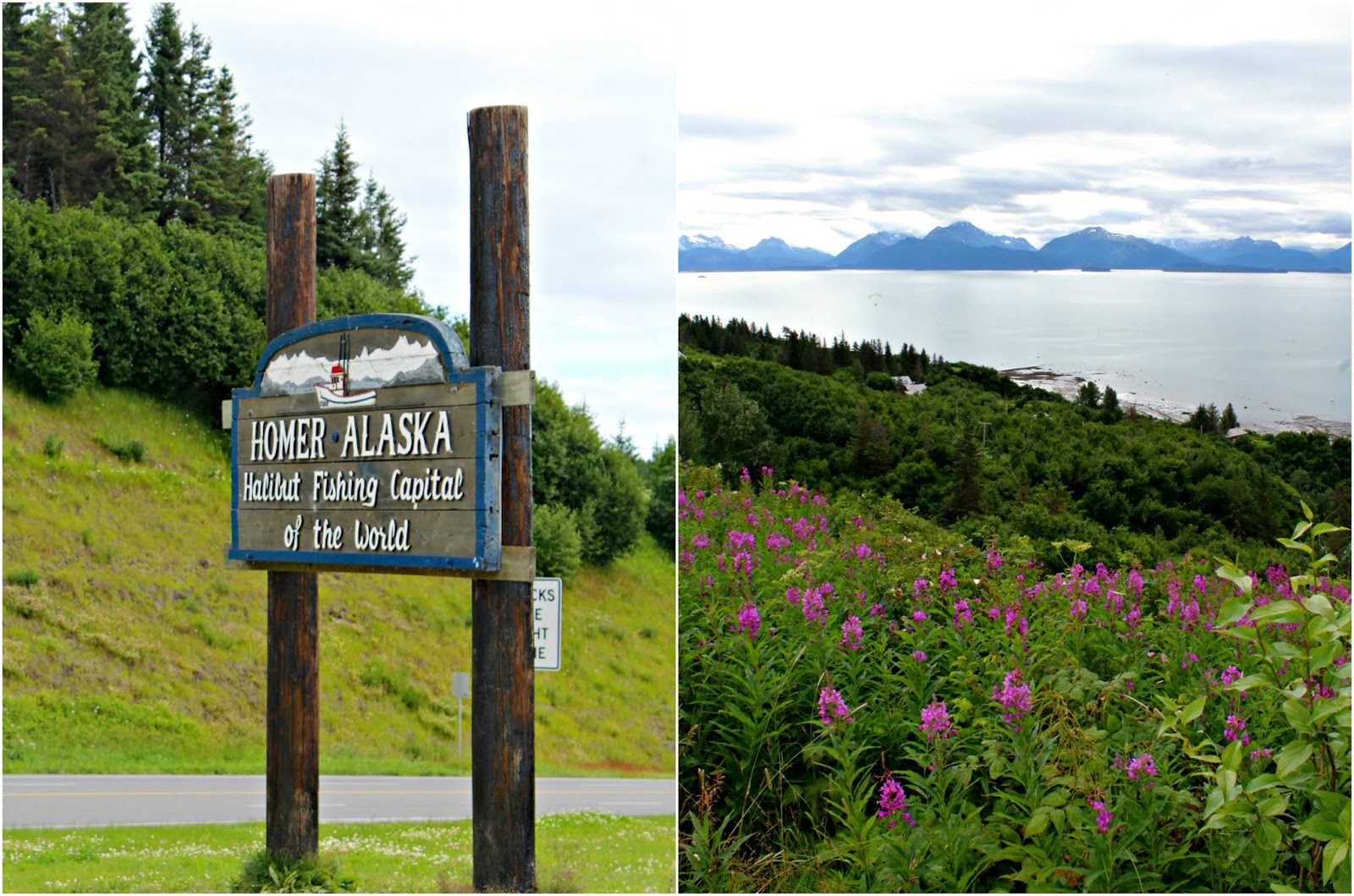 A Brief History Of Homer Alaska Caravan Sonnet a-brief-history-of-homer-alaska-caravan-sonnet