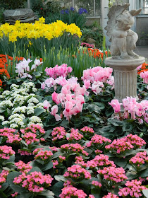 Centennial Park Conservatory Spring Flower Show 2014 cherub statue by garden muses-not another Toronto gardening blog