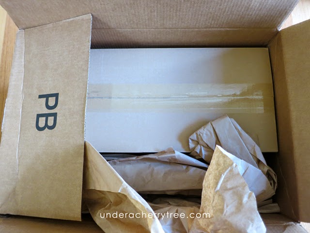 Under A Cherry Tree: Unboxing my New Silhouette Cameo {picture heavy}