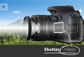 Shutter.png