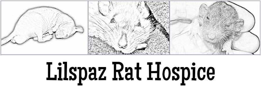 Lilspaz Rat Hospice