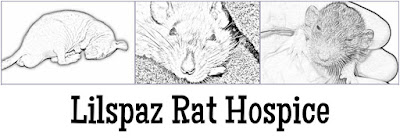 Lilspaz Rat Hospice