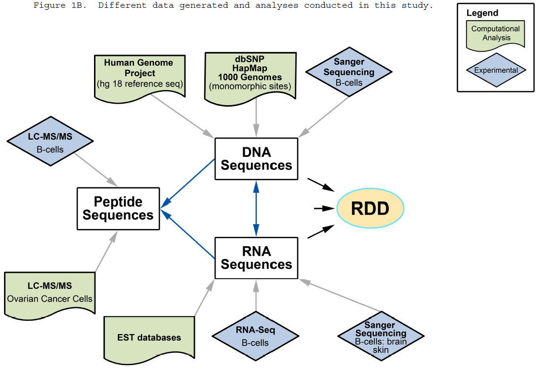 ideas should be in papers Widespread RNA and DNA Sequence Differences