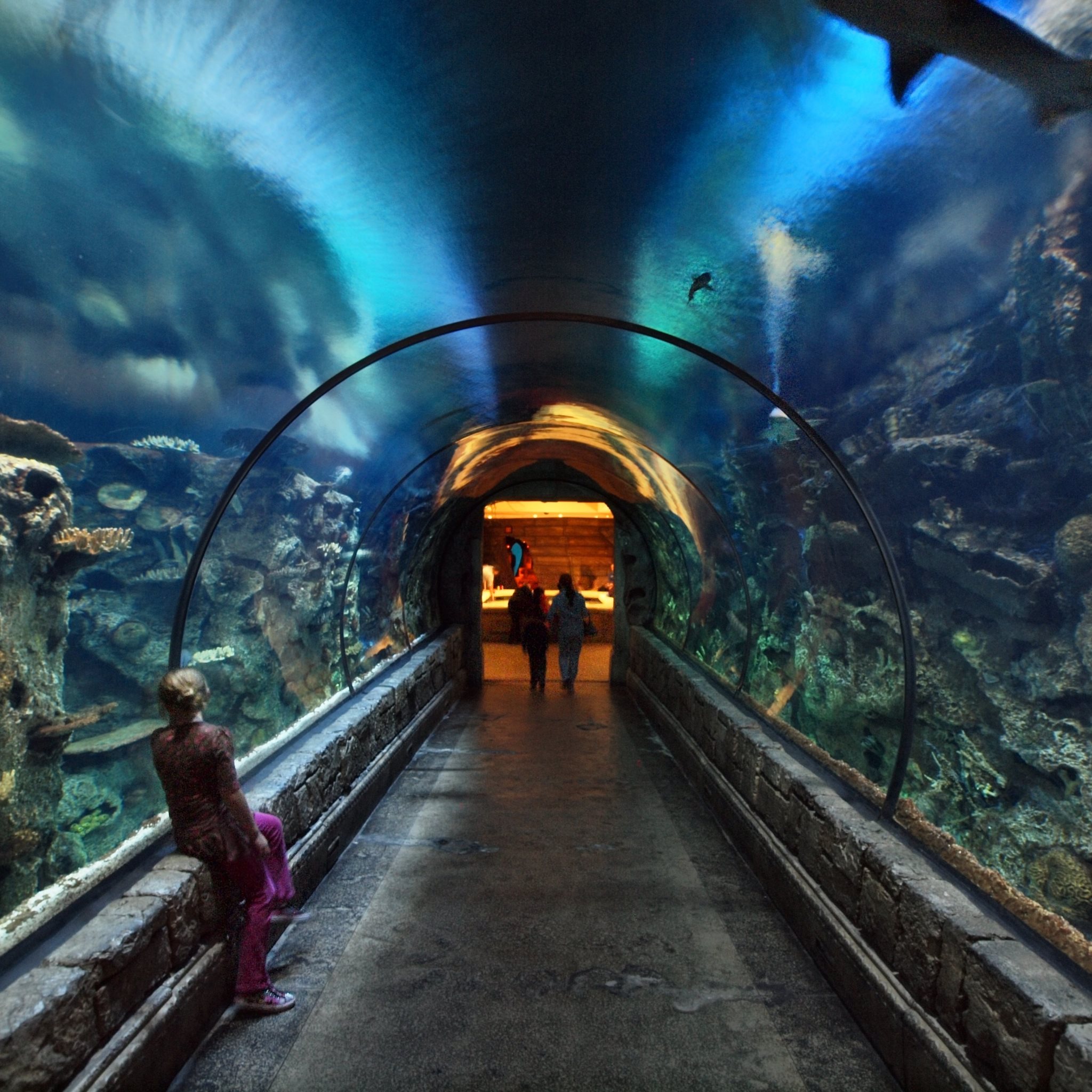 Underwater Passage Mandalay Bay hotel in Las Vegas for iPad: 2048x2048 ...