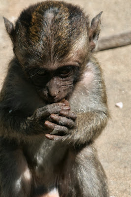 Lieblingsmomente - Bali