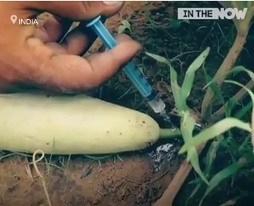 sertlesmeyi saglayan yiyecekler