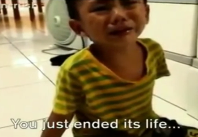 Viral Video : Anak Ini Menangis, Hanya Melihat Ibunya Membunuh Kecoa