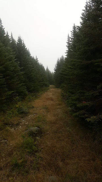 Retour du mont Redington en direction du stationnement