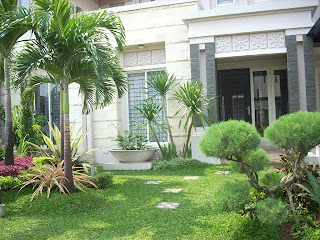 ACTION TAMAN MINIMALIS | CEMARA UDANG | AGAVE VARIGATHA ACTION TAMAN MINIMALIS | CEMARA UDANG | AGAVE VARIGATHA