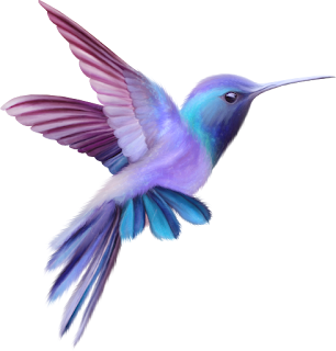 Beauty Hummingbird  Free Clip Art.  