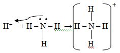 Схема образования nh3. Механизм образования молекул nh3. Валентная схема nh4+. Nh4+ полярность. Nh4+ число и Тип связей механизм образования.