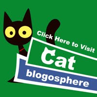 Cat Blogosphere