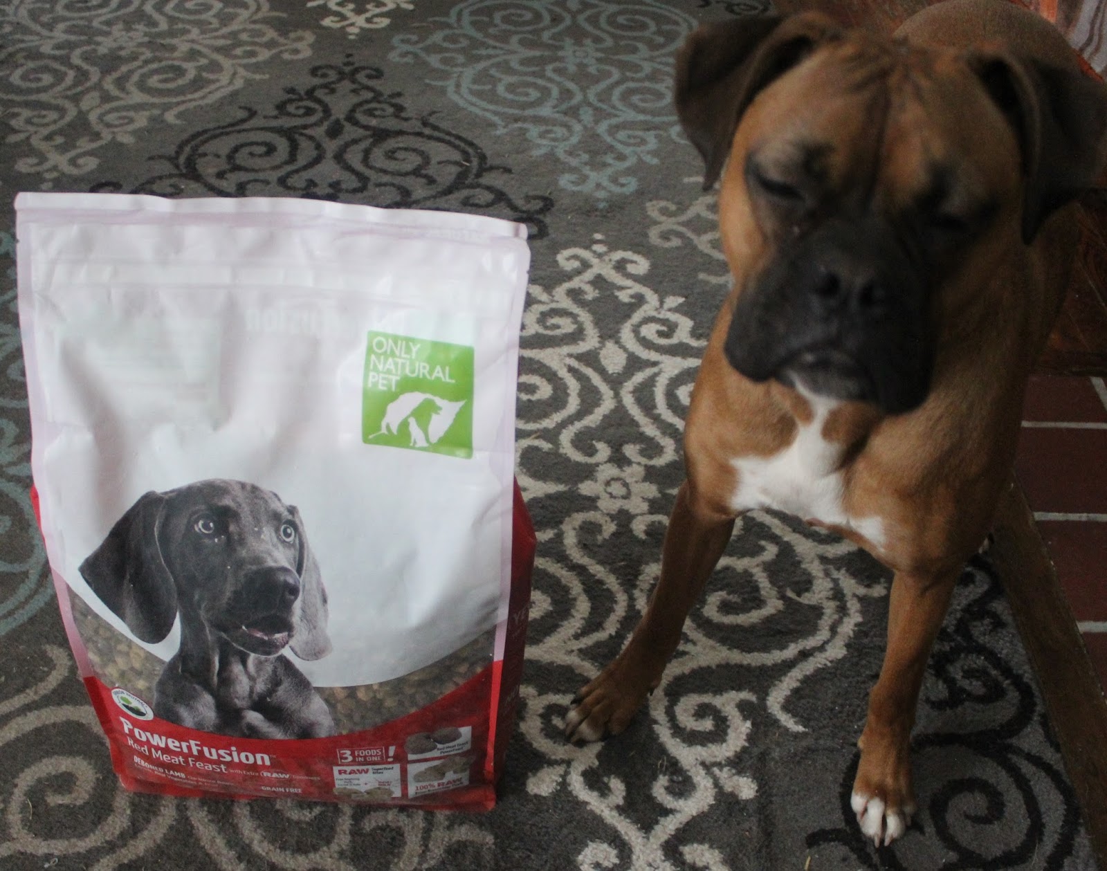 only natural pet powerfusion dog food