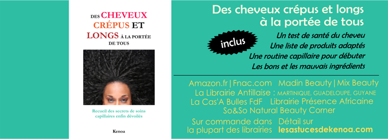 LE LIVRE "Des cheveux crépus et longs à la portée de tous"