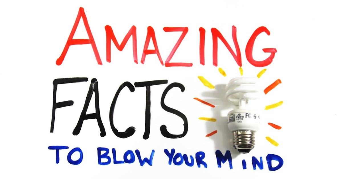 Top 10 Amazing Facts You Don't Know About The Amazing World