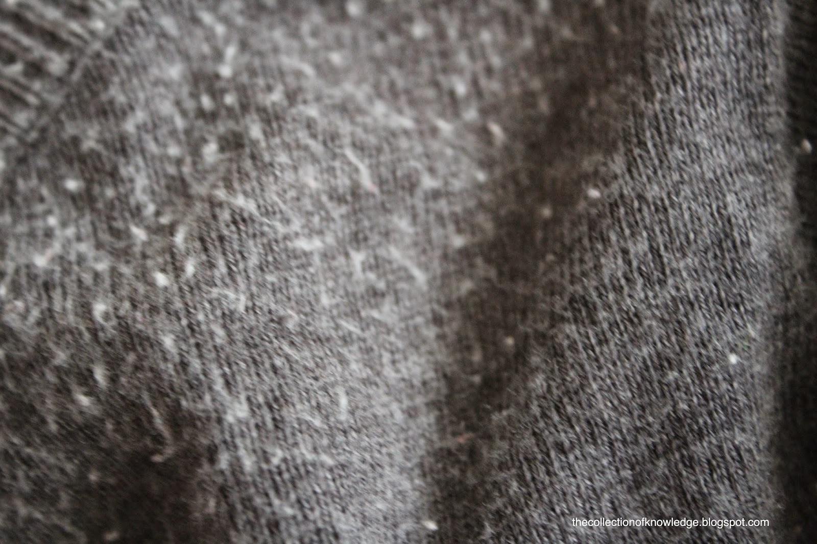 The Collection of Knowledge : Removing Lint From Sweaters